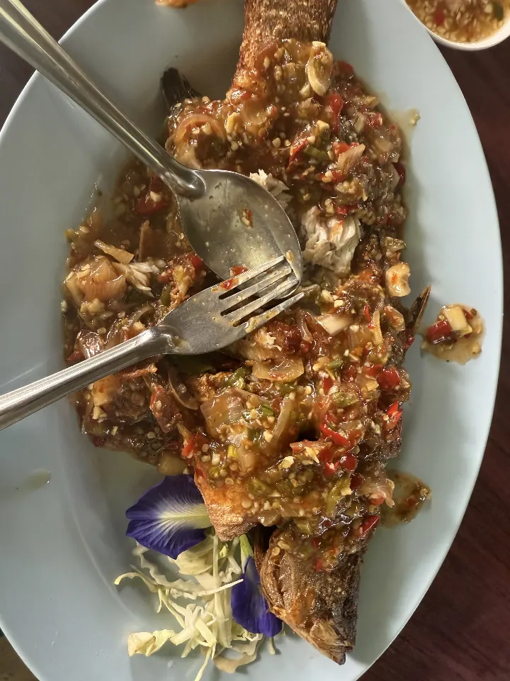 Fried fish with herbs and sauce on a white plate.