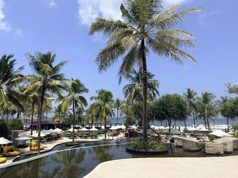 The pool at the W Bali – Seminyak, framed by palm trees.